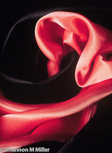 Black - Pink Silk