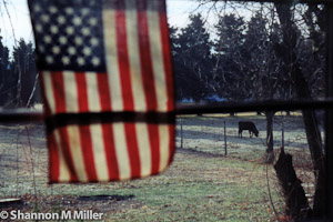 Country USA