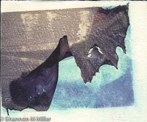 Emulsion Transfer