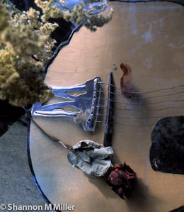 Guitar