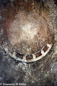 Print on Cement