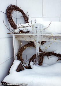 Snow on Susan's Bench