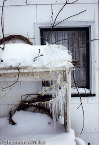Snow on Susan's Bench 2