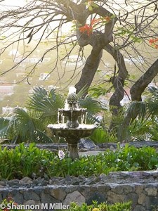 Water Fountain